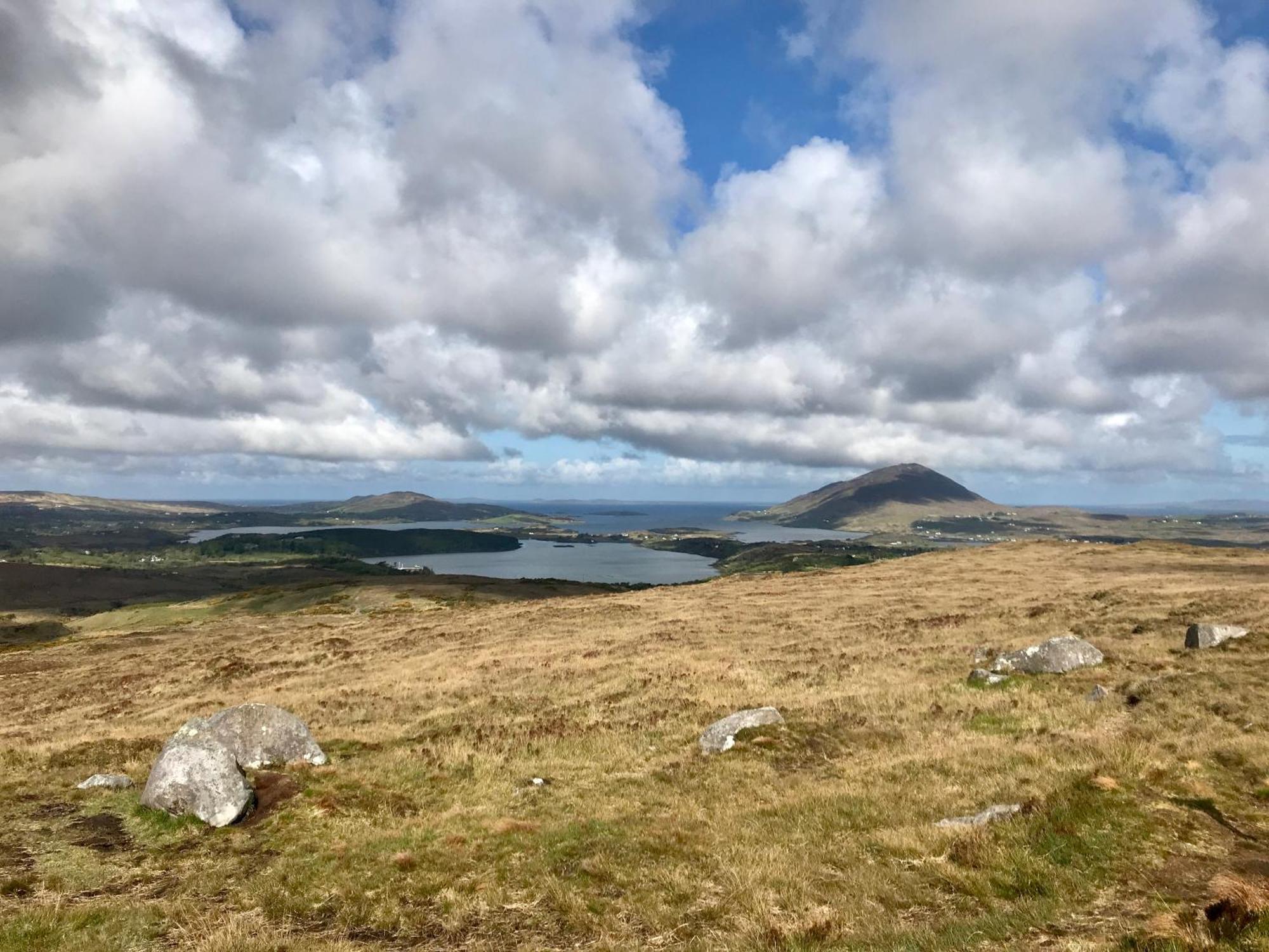 Red Deer Cosy Apartment In Letterfrack Connemara ภายนอก รูปภาพ