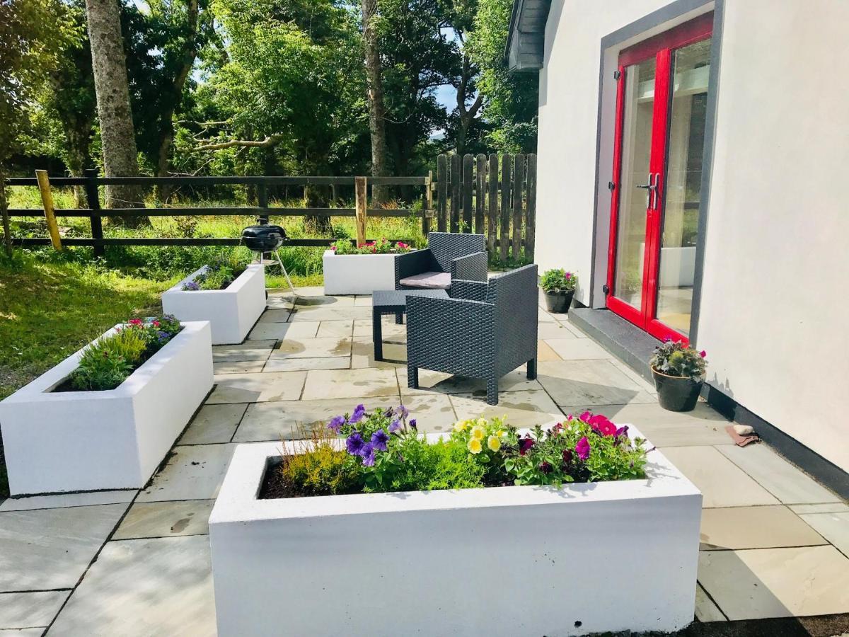 Red Deer Cosy Apartment In Letterfrack Connemara ภายนอก รูปภาพ